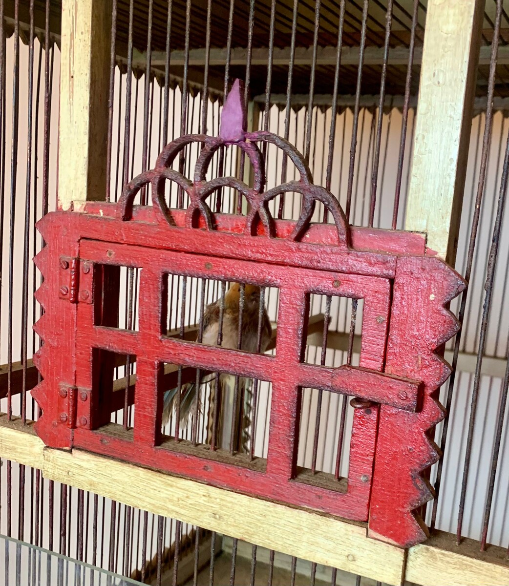 bird cage - curved wooden base - circa 1900