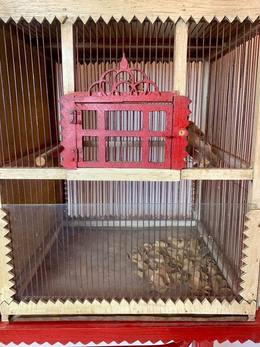 bird cage - curved wooden base - circa 1900