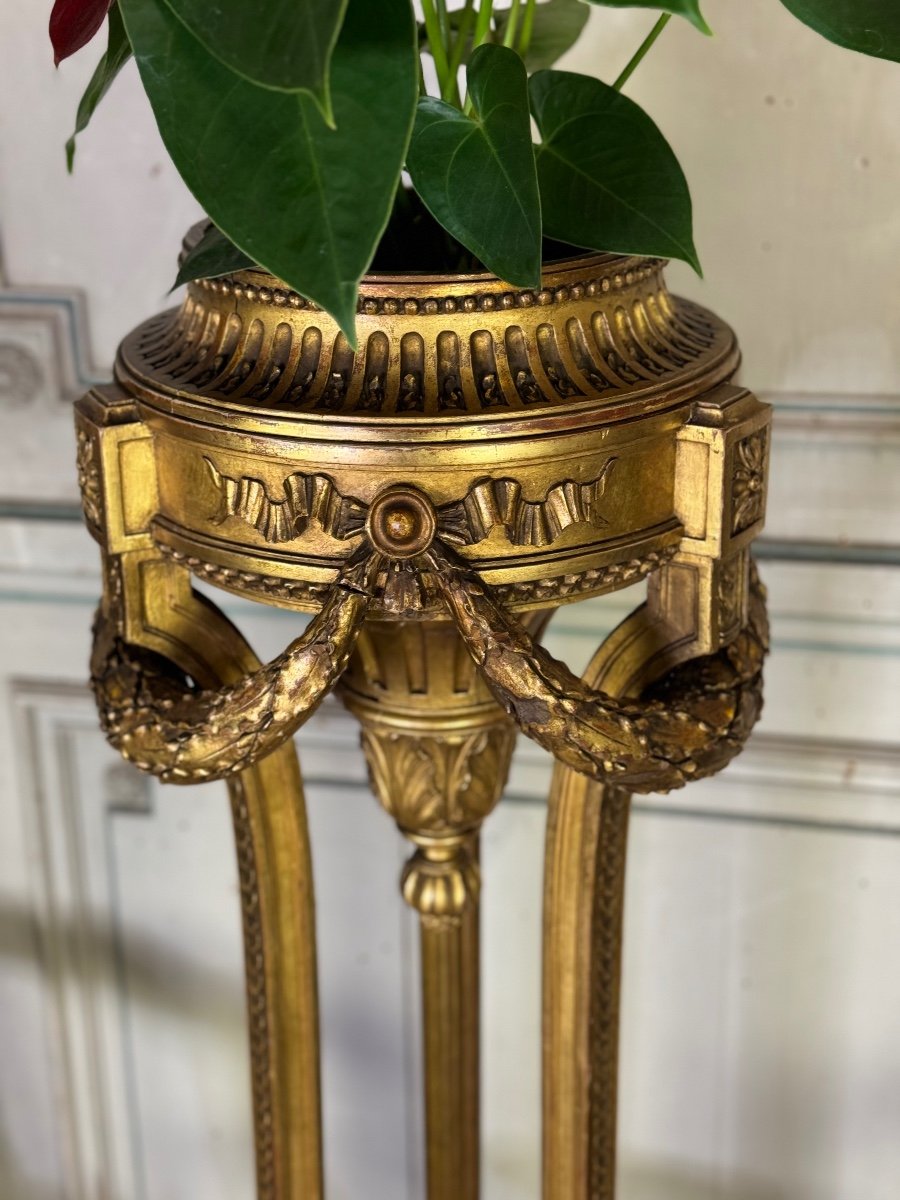 Louis XVI Style Jardiniere In Carved And Gilded Wood Circa 1900