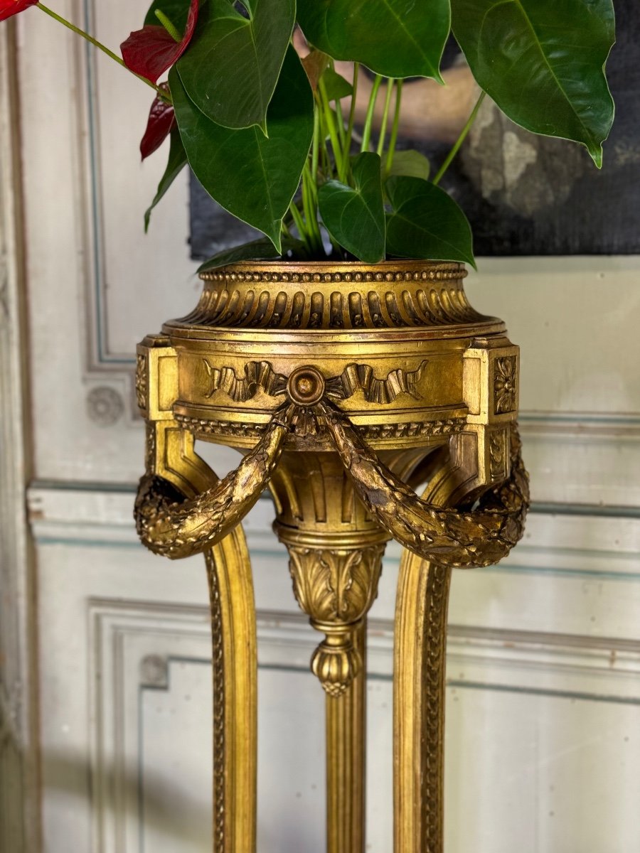 Louis XVI Style Jardiniere In Carved And Gilded Wood Circa 1900