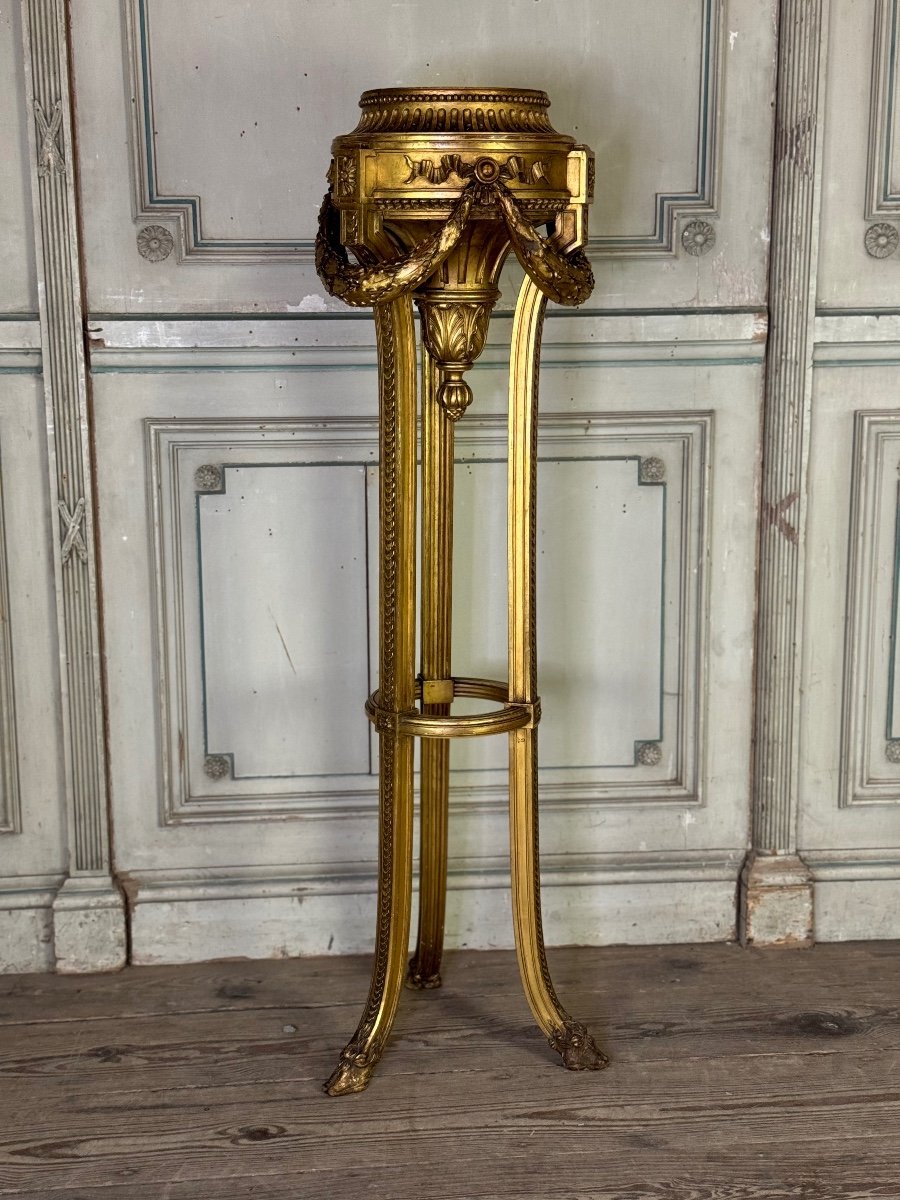 Louis XVI Style Jardiniere In Carved And Gilded Wood Circa 1900