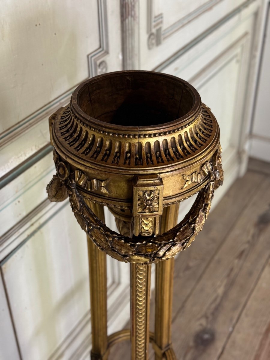 Louis XVI Style Jardiniere In Carved And Gilded Wood Circa 1900