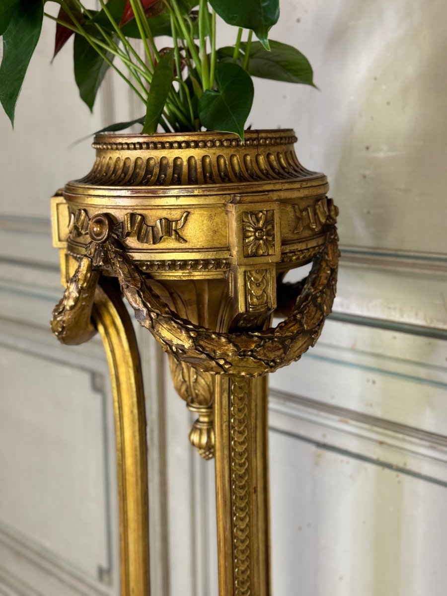 Louis XVI Style Jardiniere In Carved And Gilded Wood Circa 1900