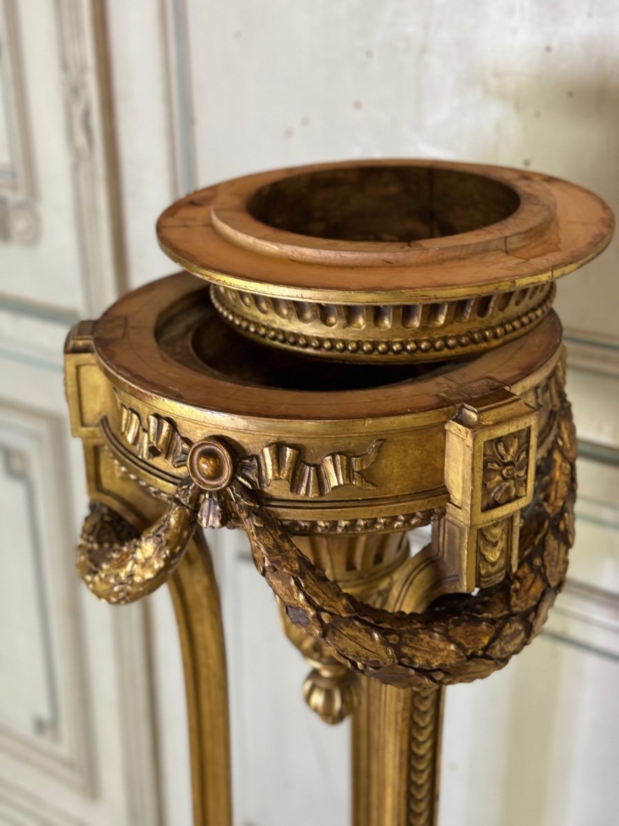 Louis XVI Style Jardiniere In Carved And Gilded Wood Circa 1900