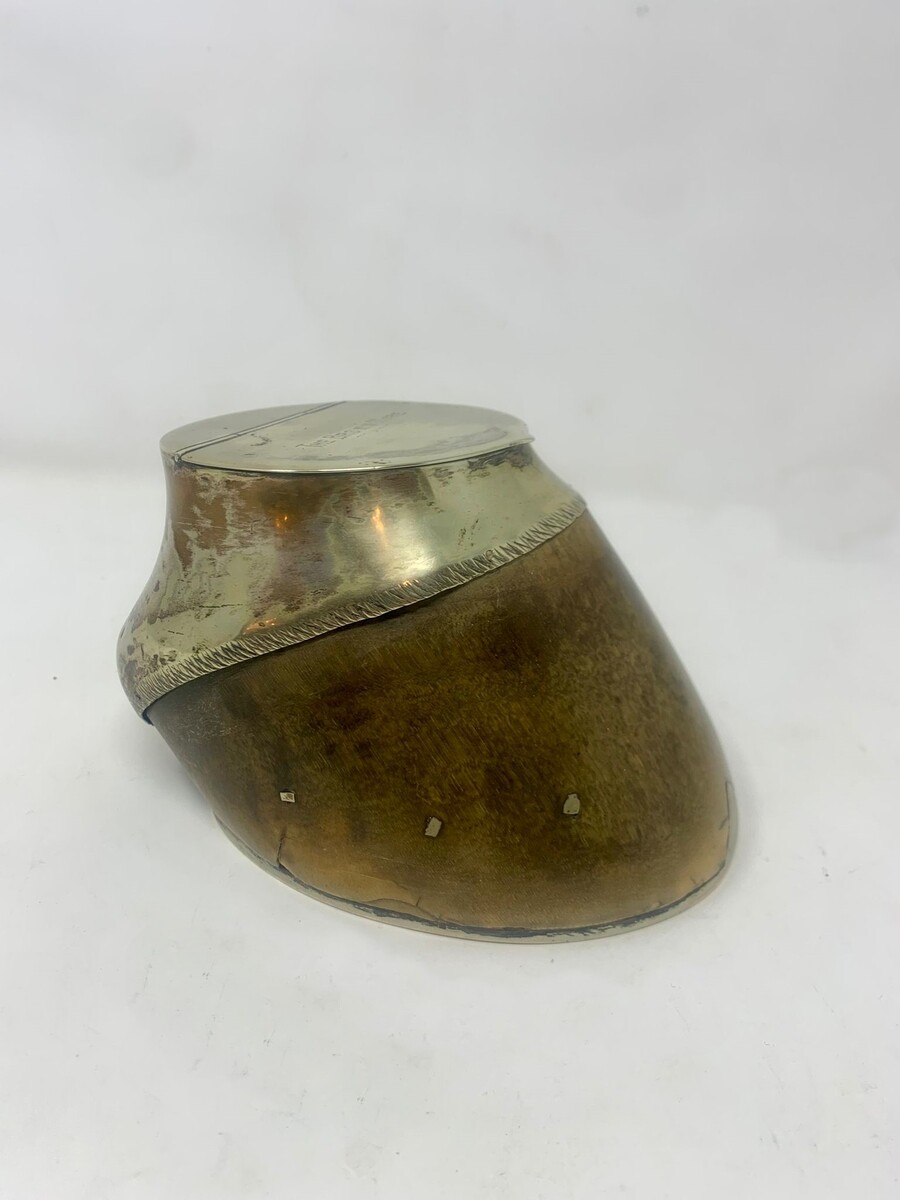 Silver plated box made from a horse's hoof