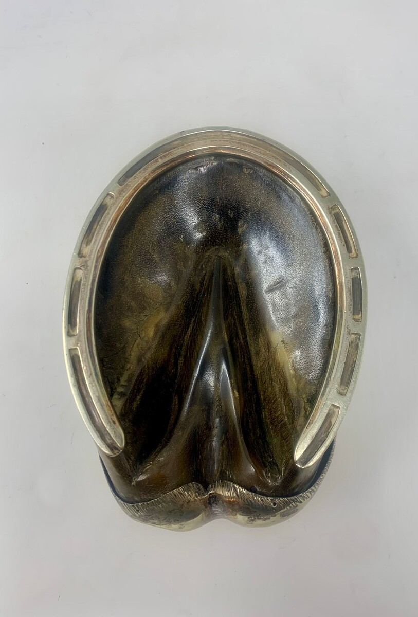 Silver plated box made from a horse's hoof