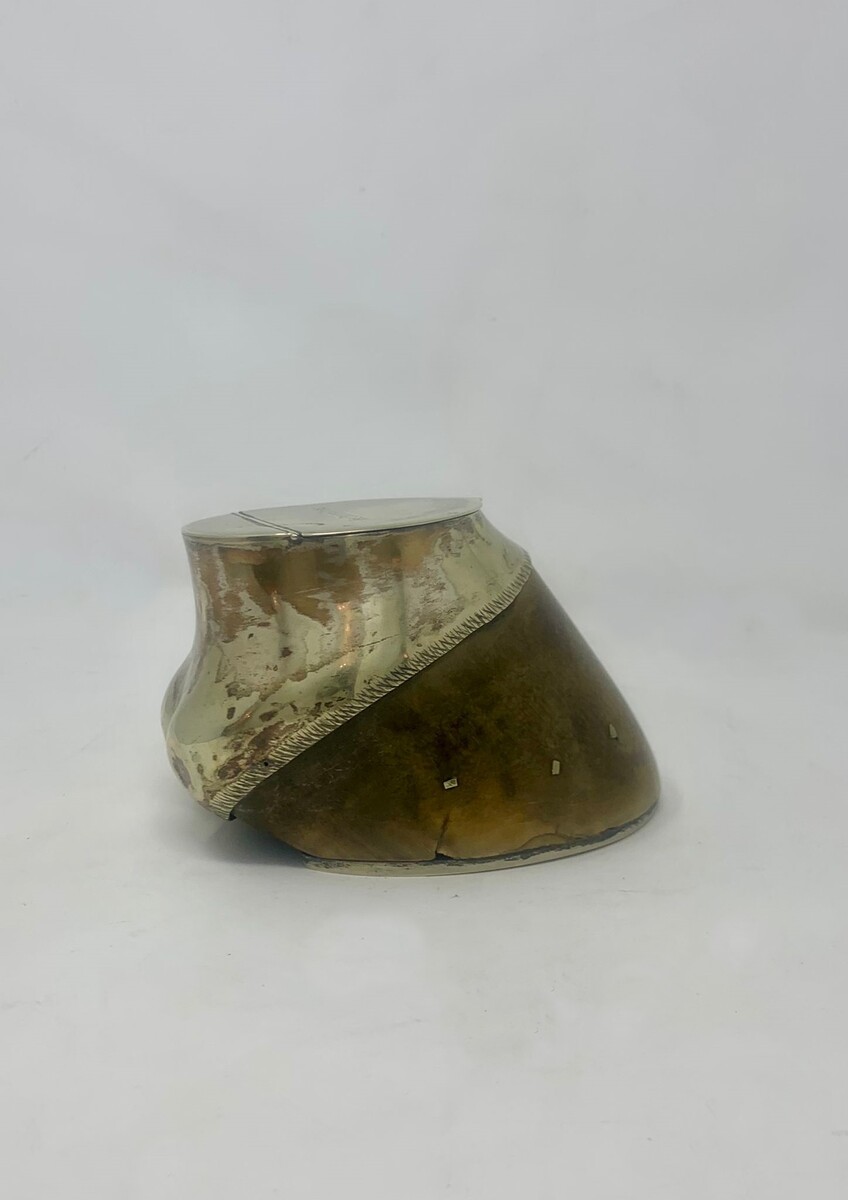 Silver plated box made from a horse's hoof