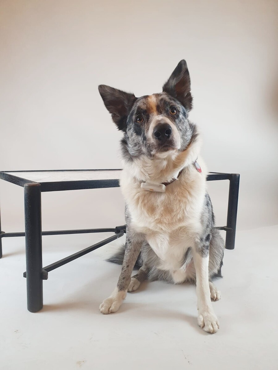 Wrought iron coffee table with marble top, circa 1970